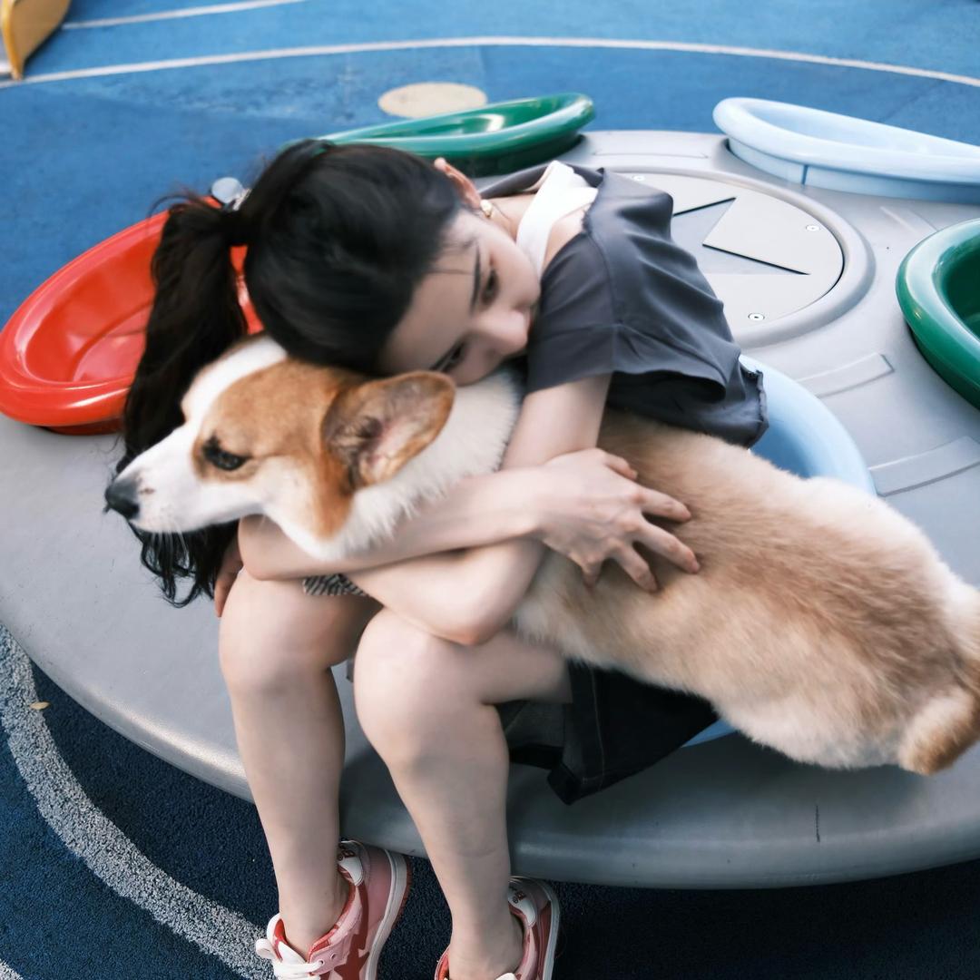 高甜小狗