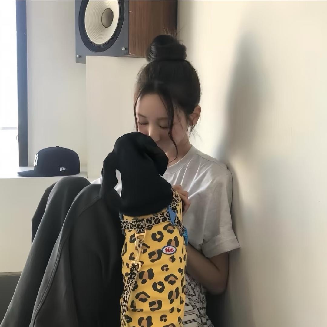 遇见困难睡大觉