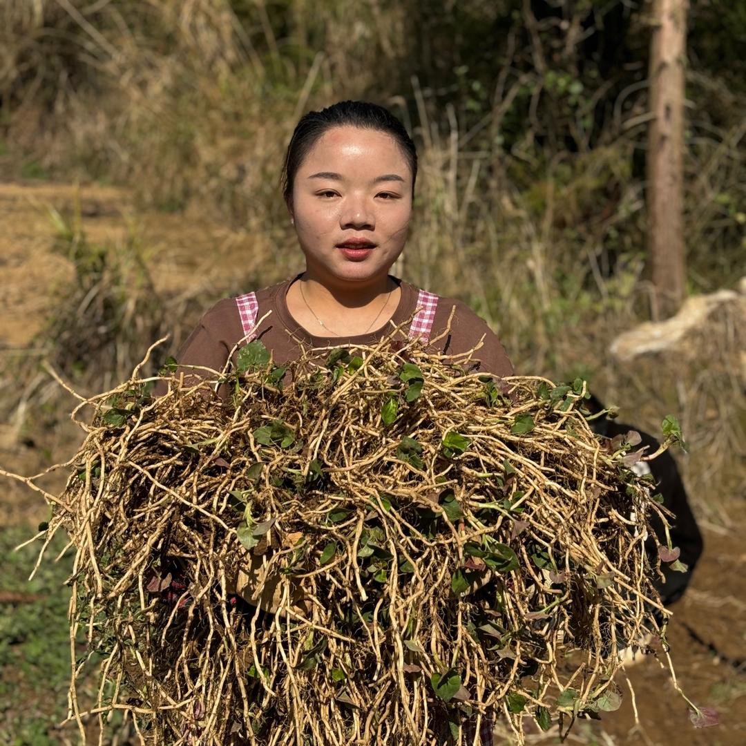 卖菜的小艳子