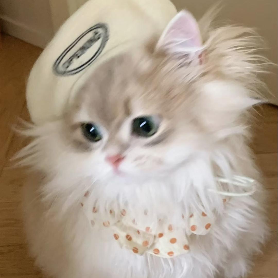 Aifann