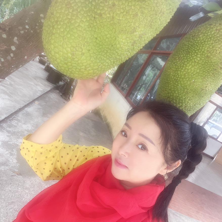 申淼淼