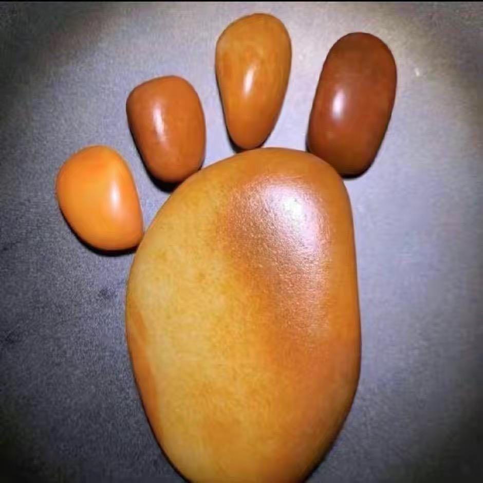 古丽