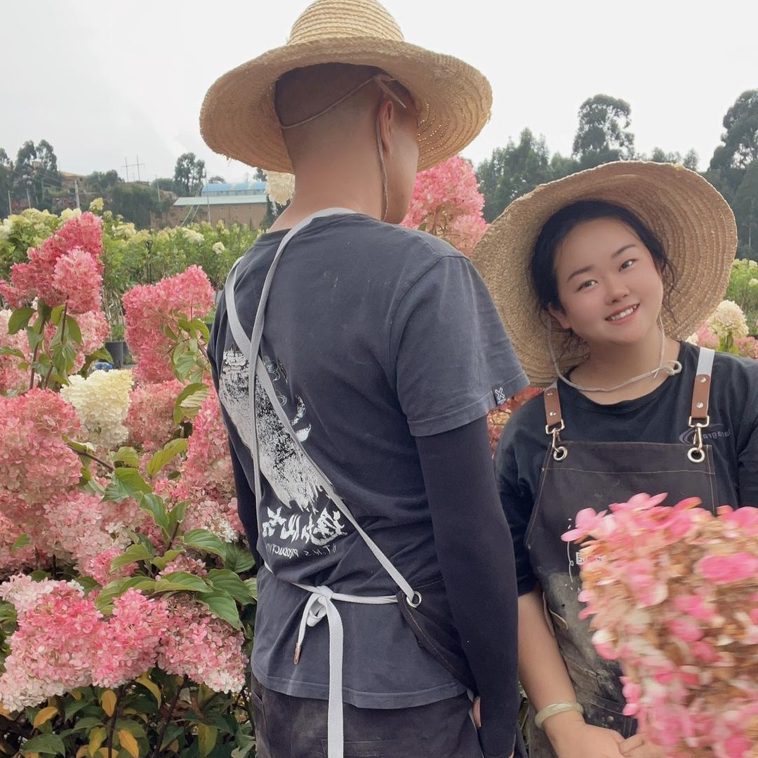 小胖墩的花园