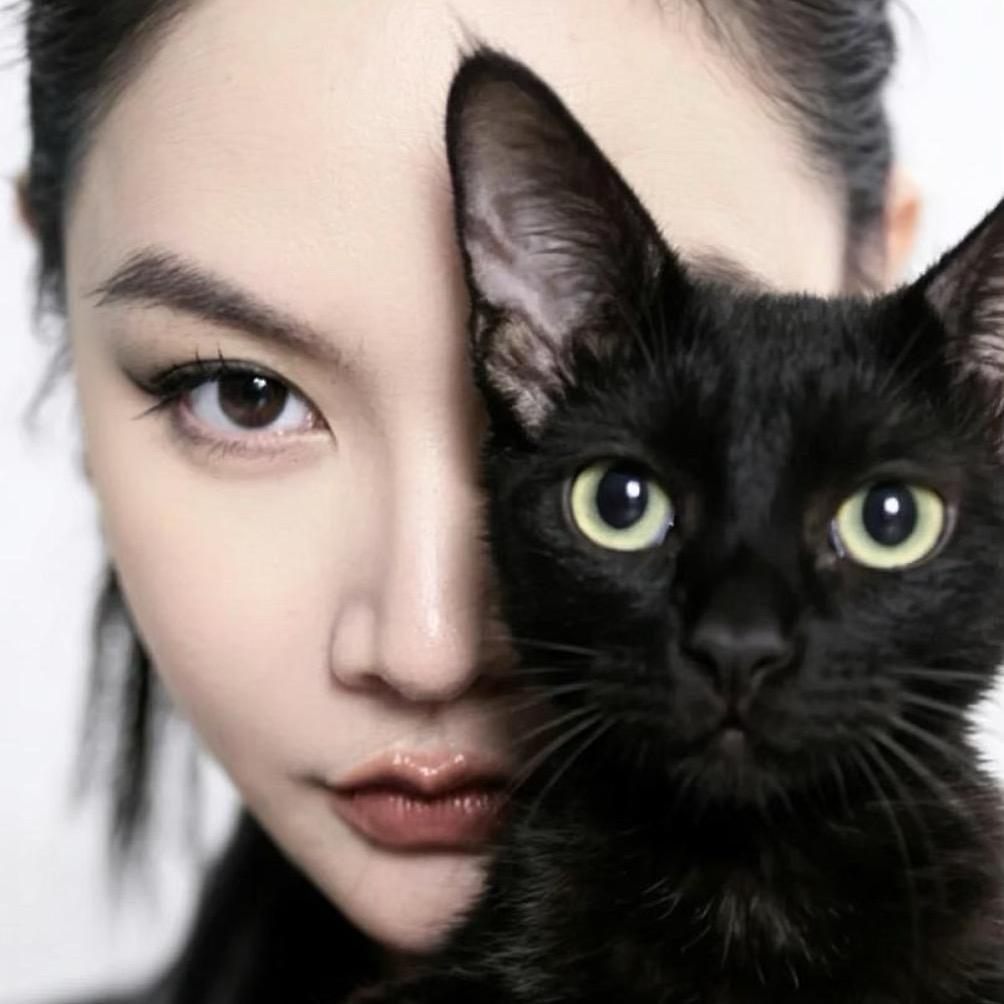 🐱猫儿🐱