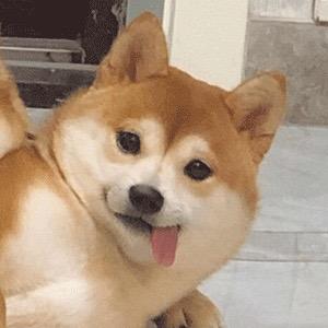 开开