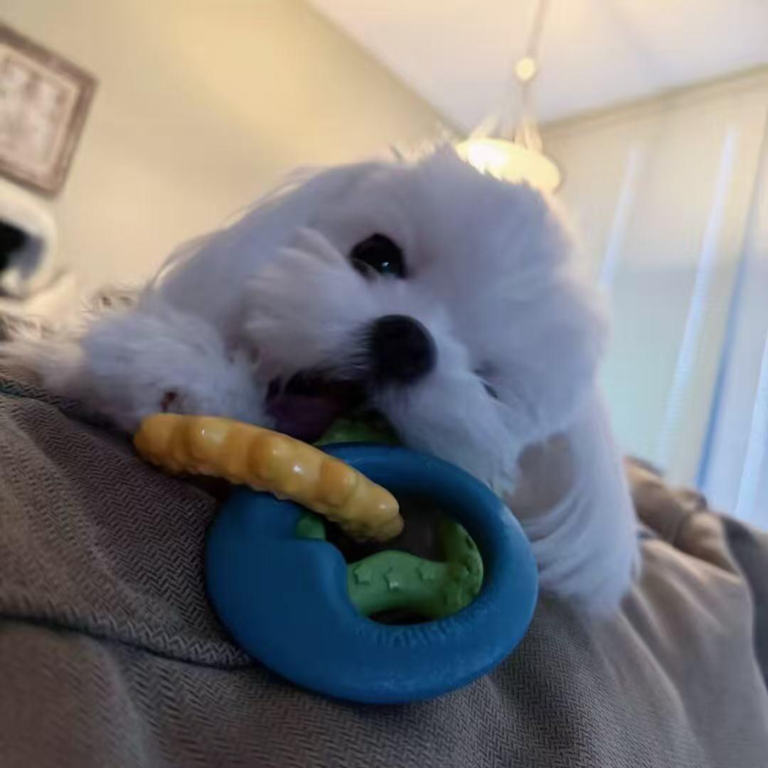 汤泡饭不