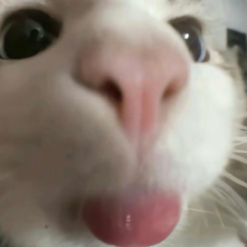 泥嚎