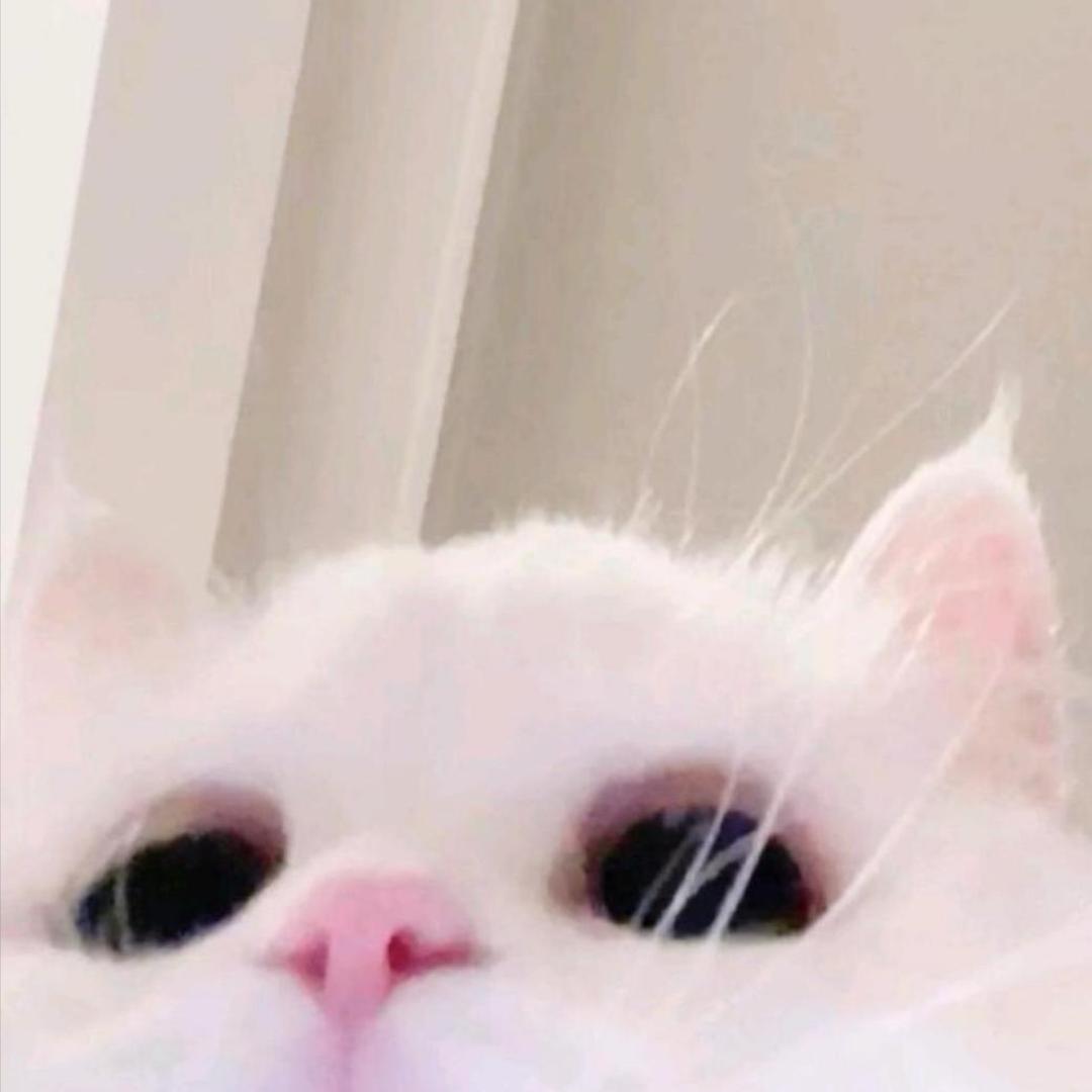双手比耶