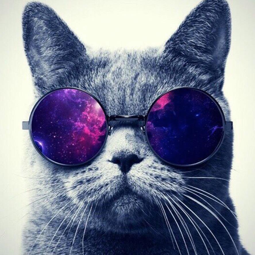 𝓛𝓮𝓰𝓸小趴菜এ᭄゛