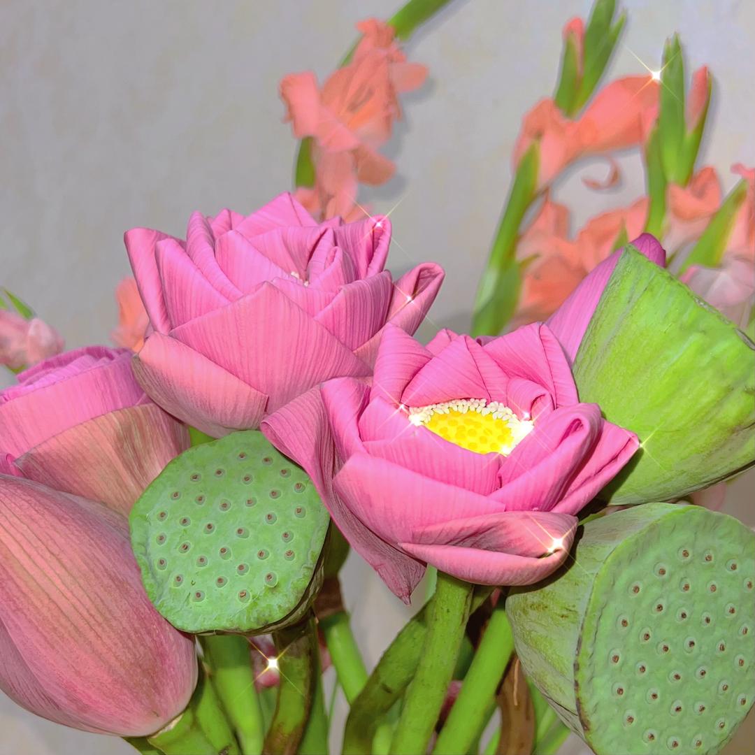 登登姥爷带娃记🐰