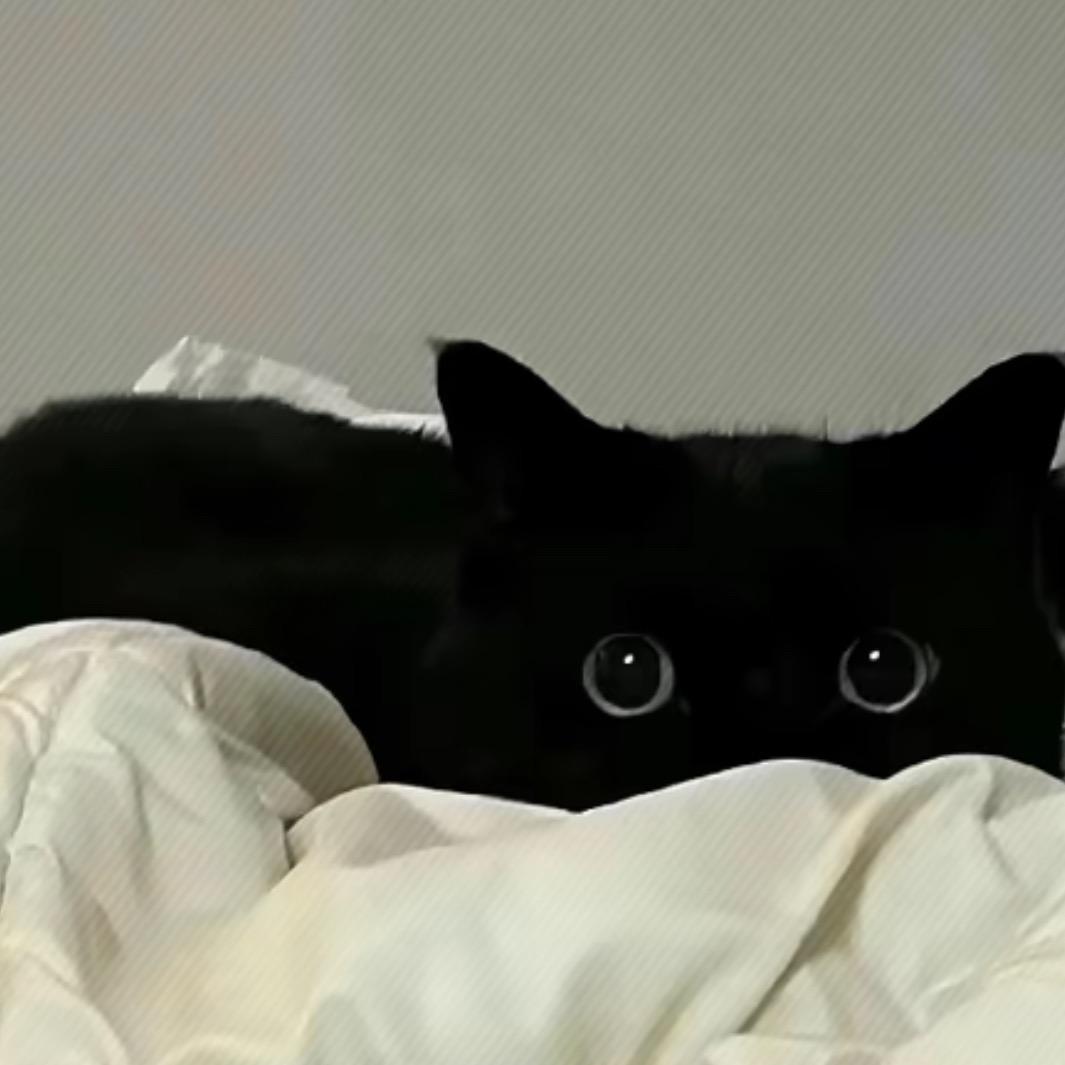 ꧁顺꧂