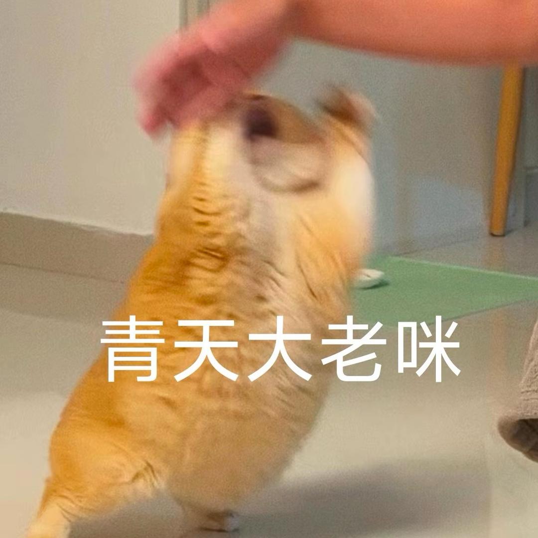 popopopo