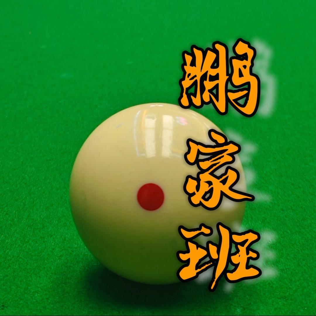 台球鹏家班