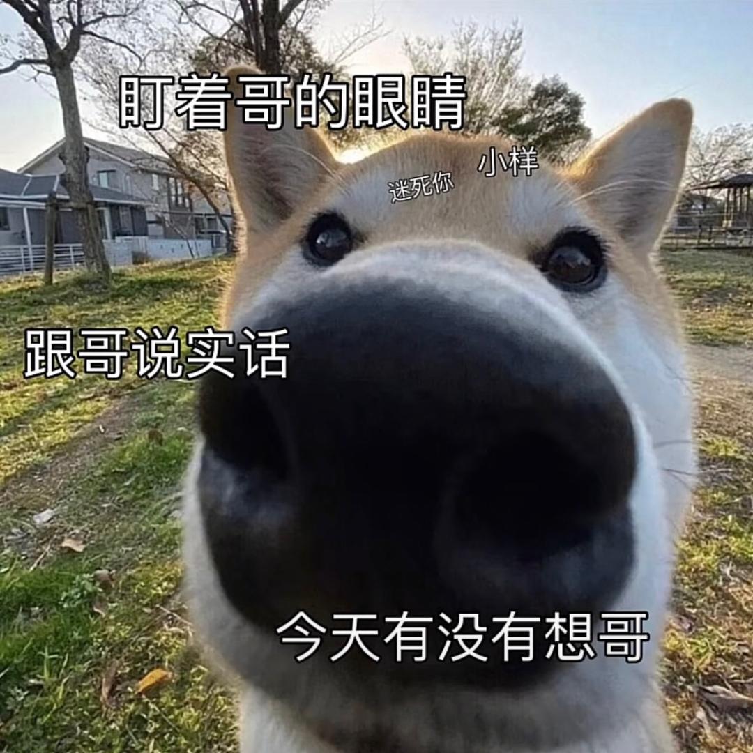 浮玉坠木（三角洲行动）