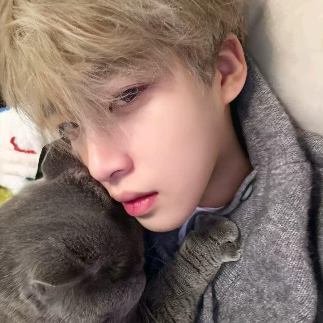 脆脆鲨😻
