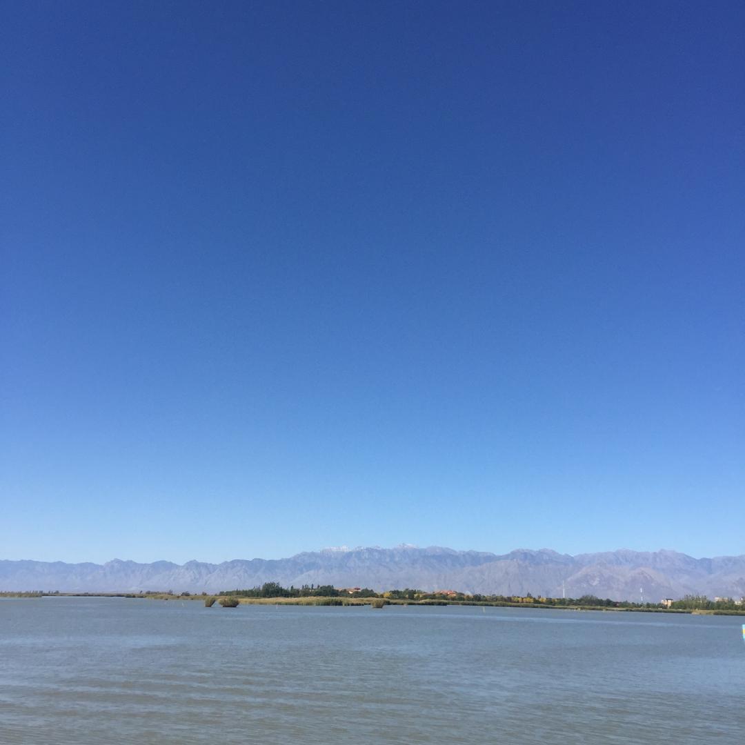山水皆有林