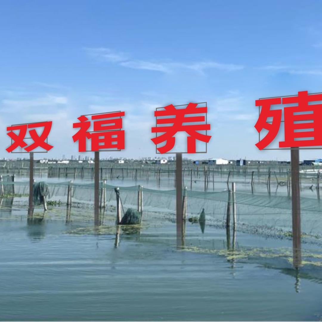 阳澄湖陈亮