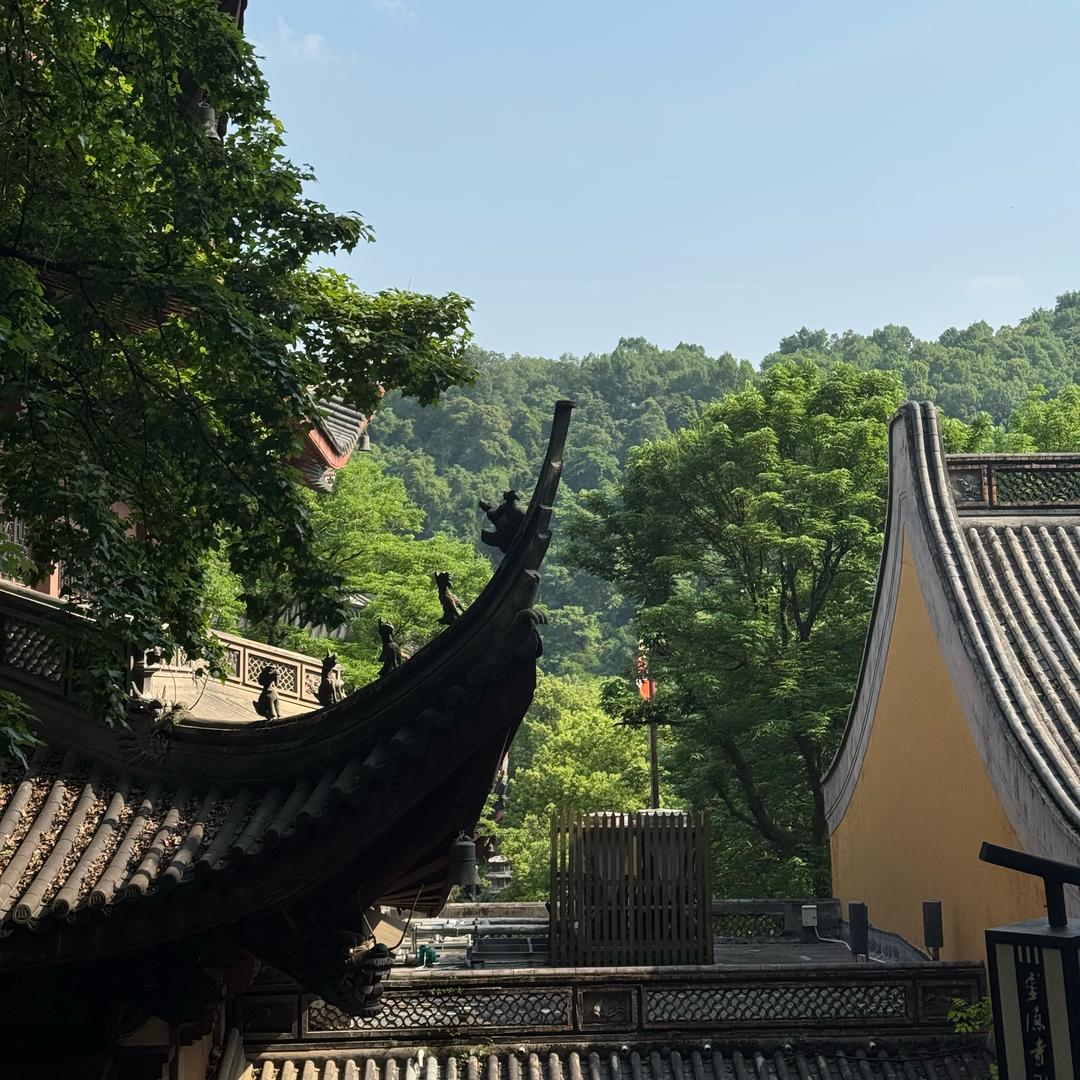 张东
