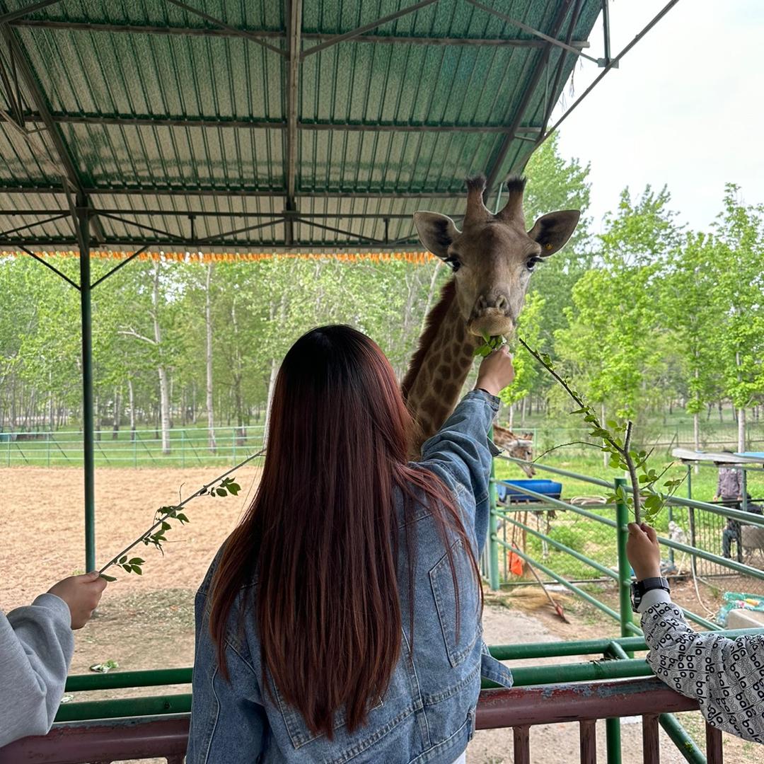 🌻HᐝSᐝYᐝ👑