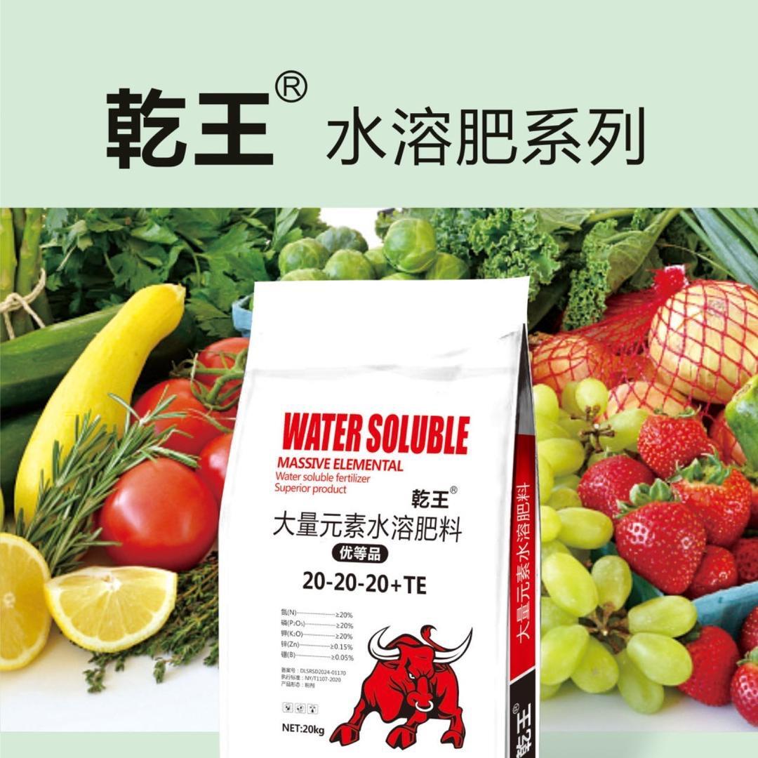 乾王肥业工厂店