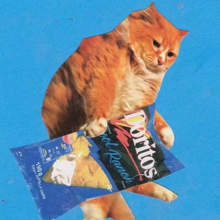 郭子垚