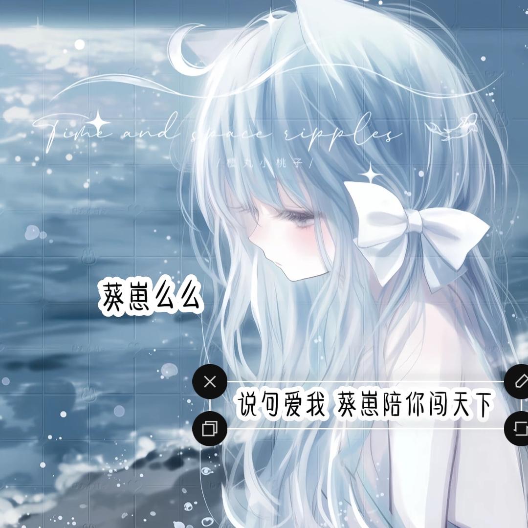 葵崽💤
