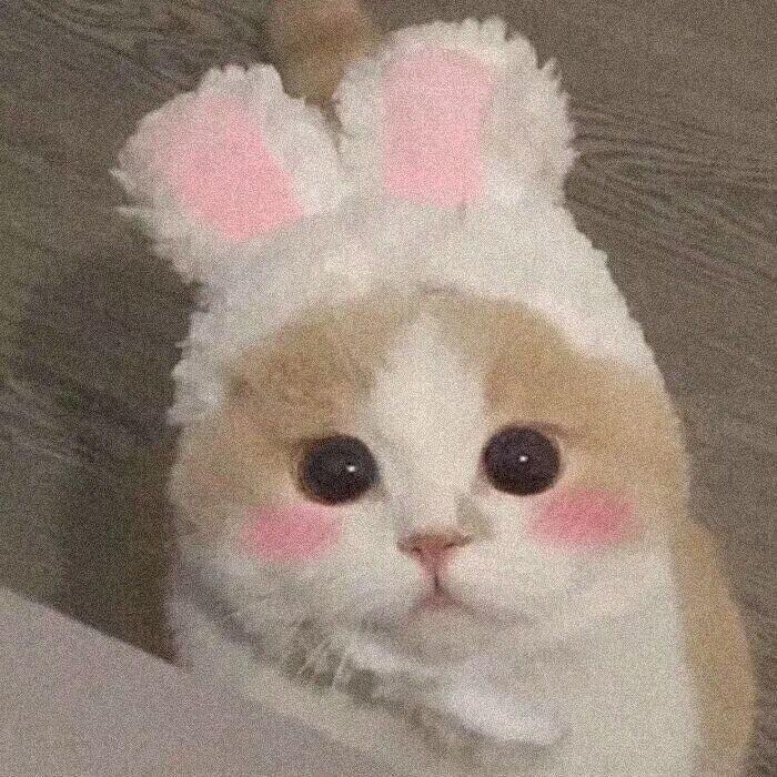 。..