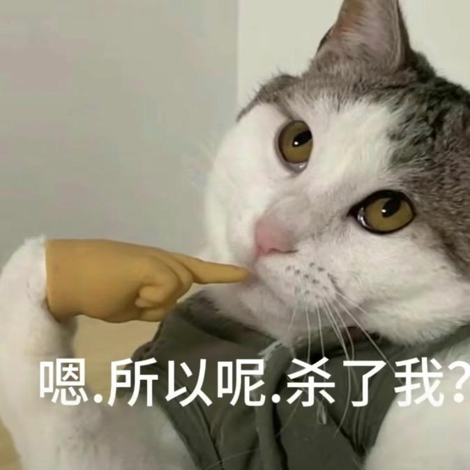 一只没名喵