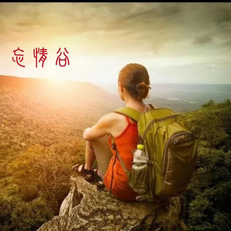 绿谷森森（小金）