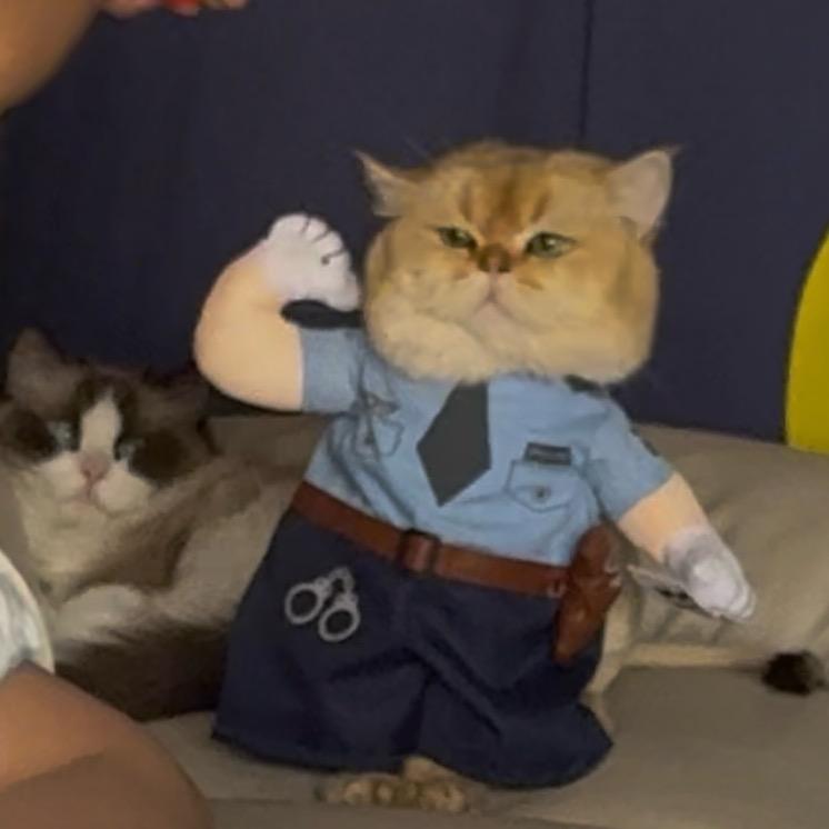 我叫W.