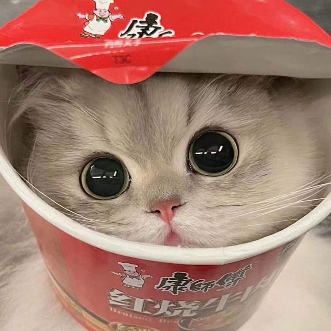 糖宝有点甜