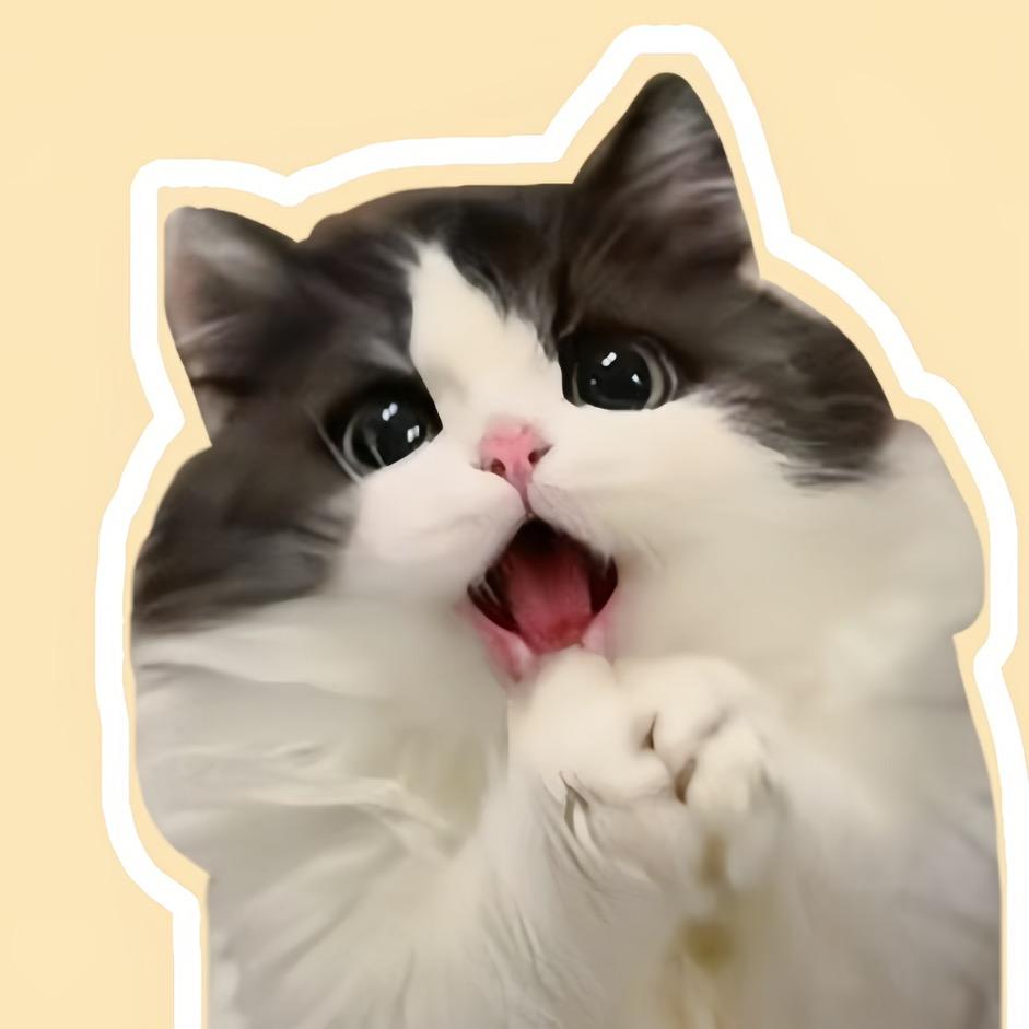 一只鸭宝