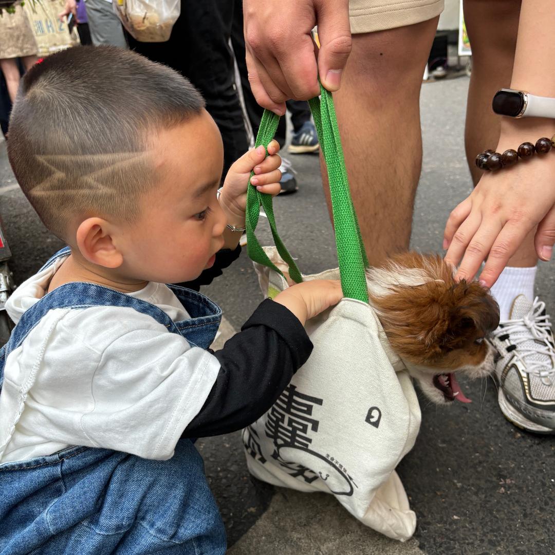 🐯虎宝航仔妈