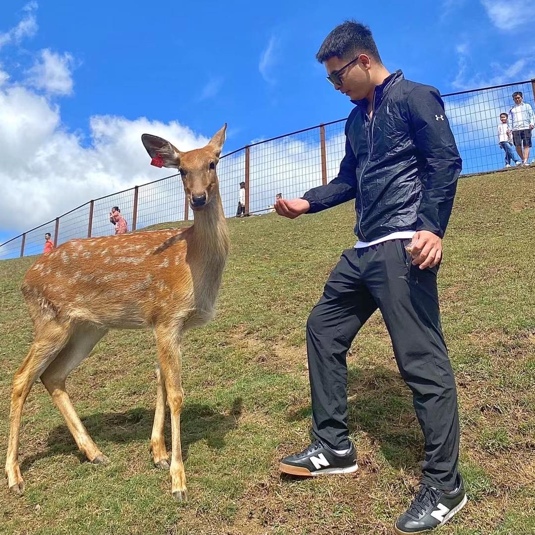 莫方见山