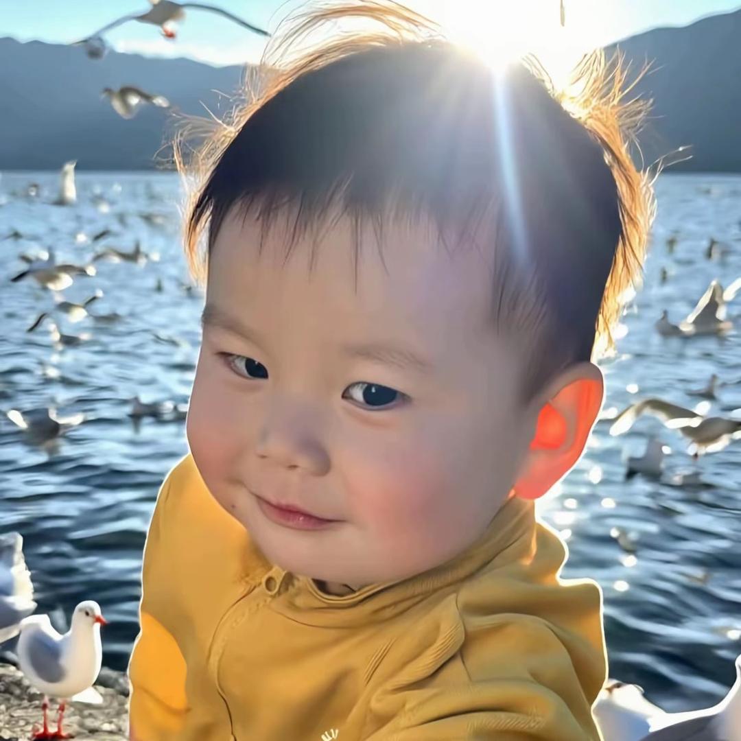 内蒙古杰克