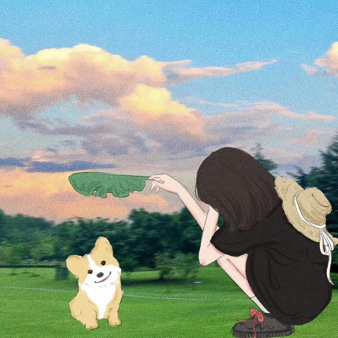 一个菜包包
