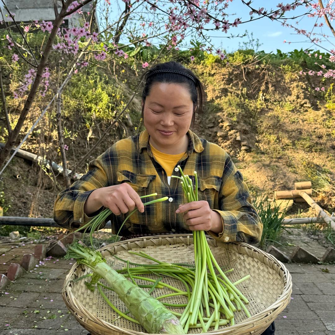 陕南翠姐爱干菜