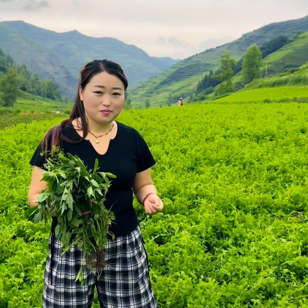 🌿沐风姑娘