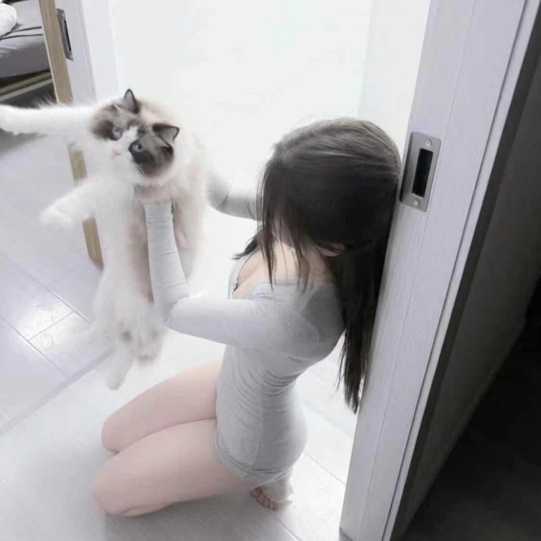 小雨寒月