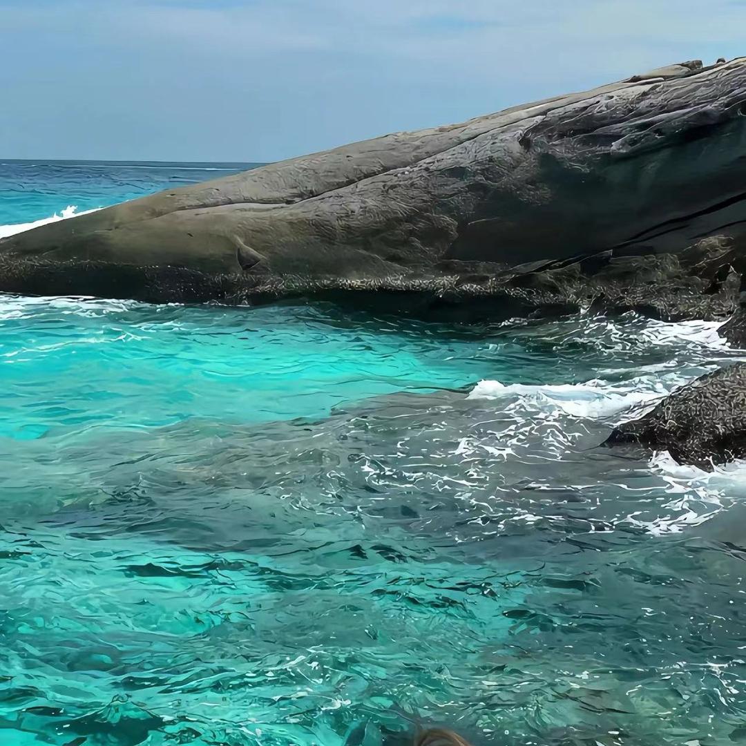 花海