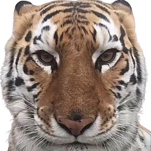 大狗嚼俱乐部金牌打手cs