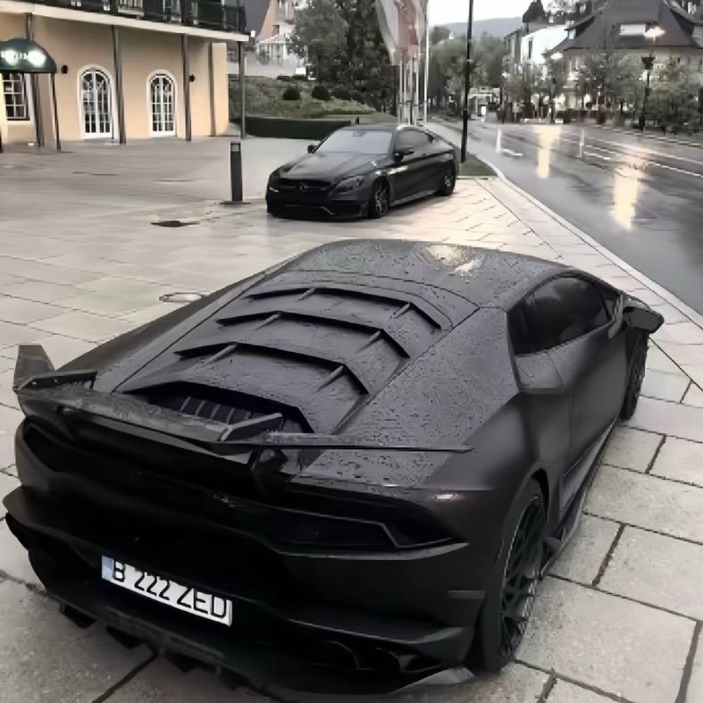 black cat