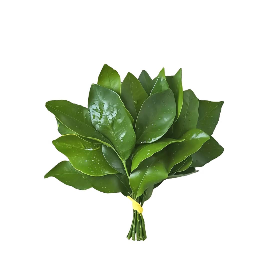 ᯅ̈