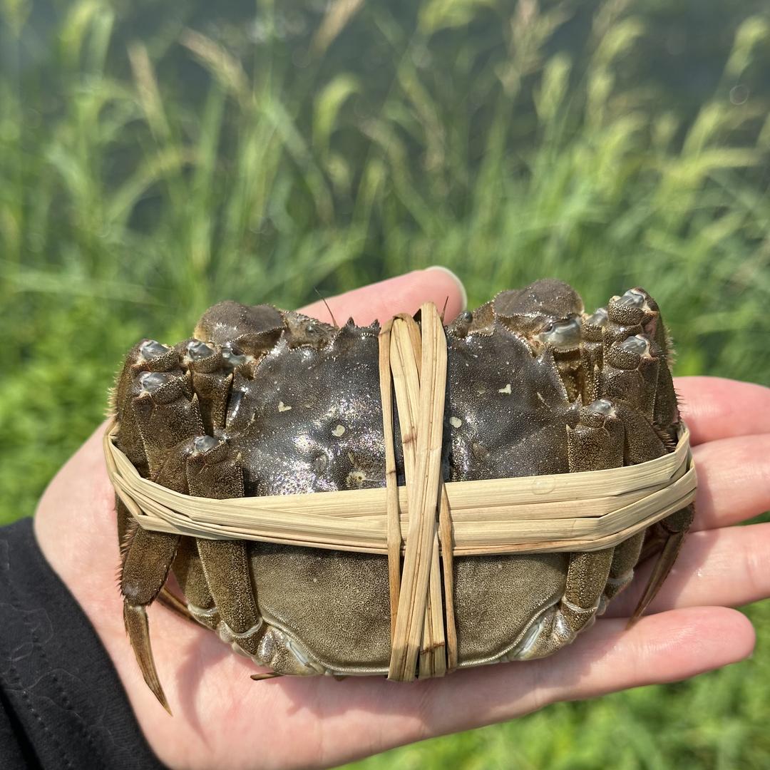 泰州市兴化市邓氏供应链有限公司企业店