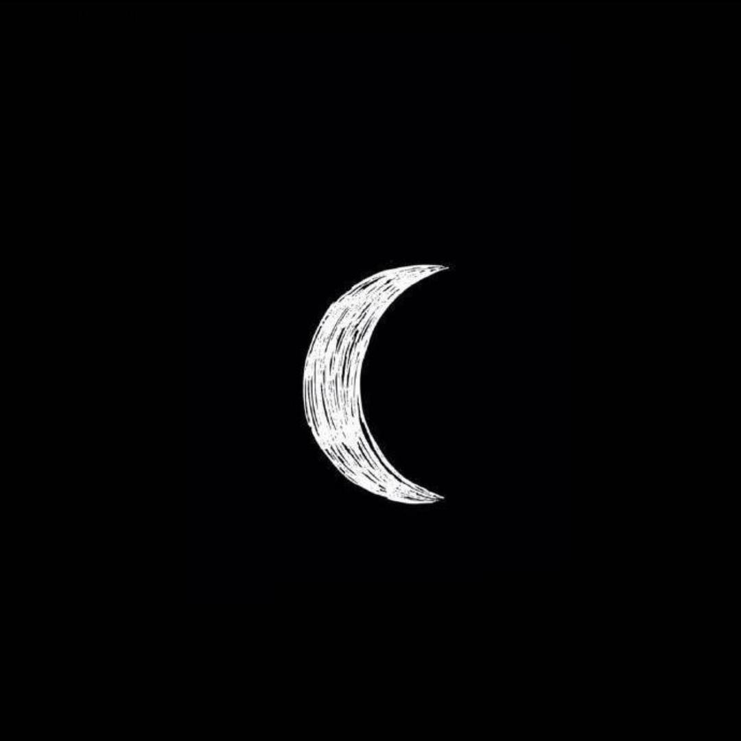 王月亮🌙