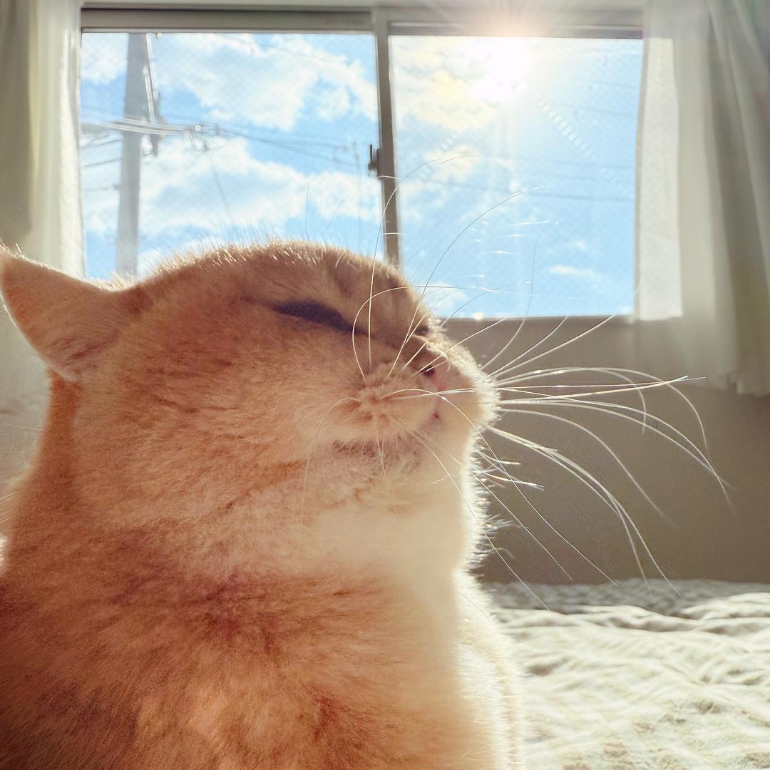 滨州技师招办老王