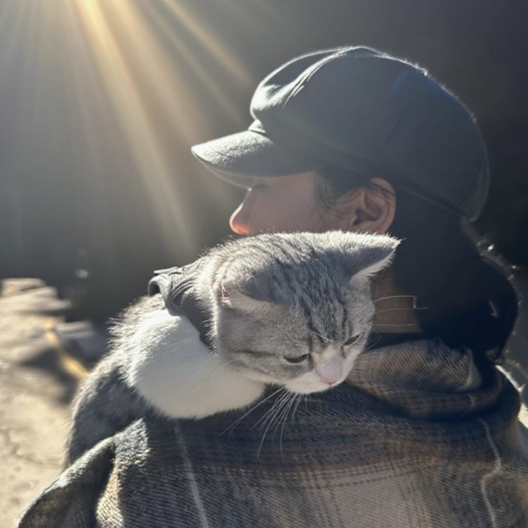 小猫纵得💫