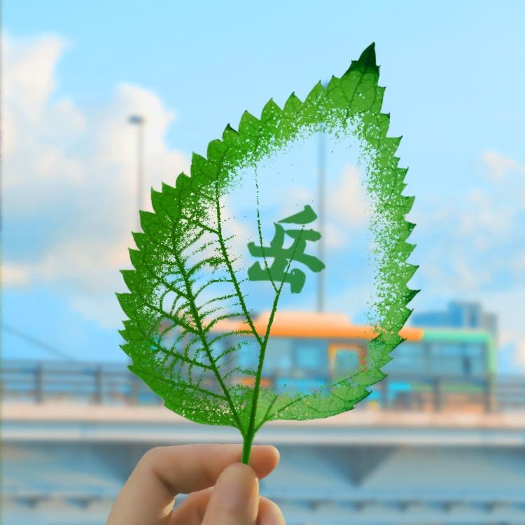 🌊岳来越好🌊