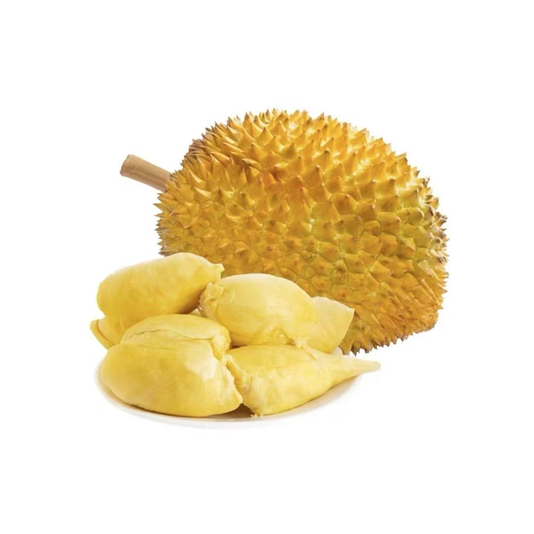 东北宝哥首衡代采