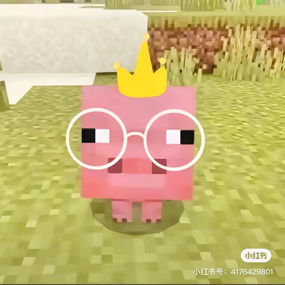 舒服的阉猪1（我的世界不灭）